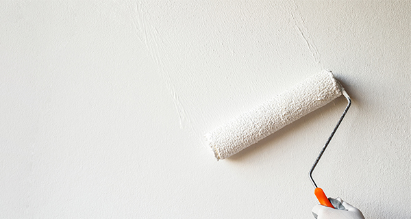 Apprêts et sous-couche